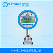 電子式標(biāo)準(zhǔn)壓力表